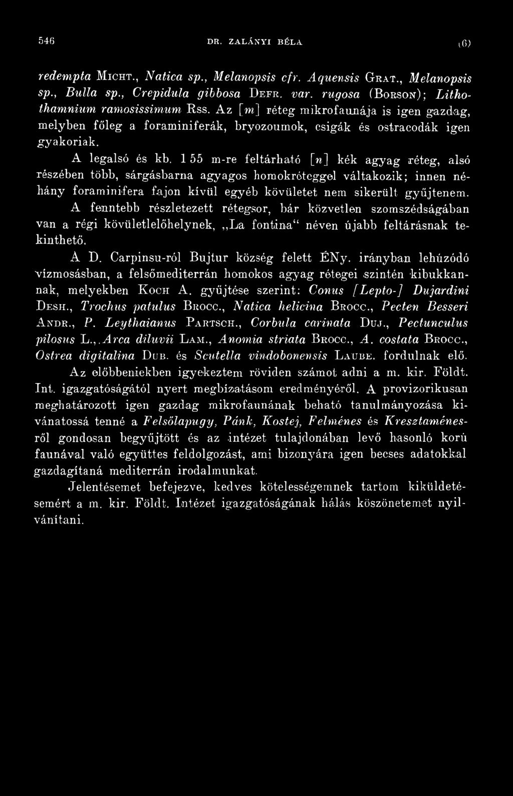 irányban lehúzódó vízmosásban, a felsőmediterrán homokos agyag rétegei.szintén kibukkannak, melyekben Kocn A. gyűjtése szerint: Conus [Lepto-] Dujardini D e s h., Trochus patulus B ro cc.