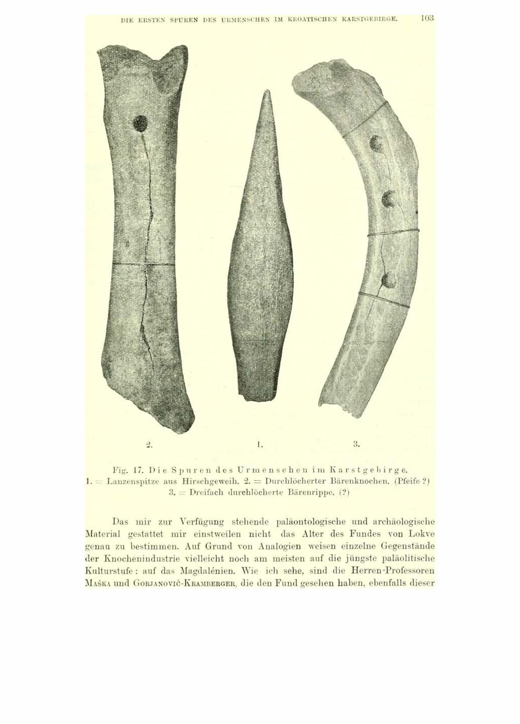 DIE ERSTEN SPOREN DES URMENSCHEN IM KROATISCHEN KARSTGEBIRGE. 103 Fig. 17. D ie Spuren des Urmenschen im Karstgebirge. Lanzenspitze aus Hirschgeweih. 2. = Durchlöcherter Bärenknochen. (Pfeife?) 3.