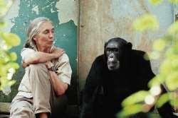 14:45-15:30 Sáfrány József dokumentumfilmjei Afrikáról 15:30-16:00 Filmek és fotók Szenegálról, Tanzániáról, Madagaszkárról 16:00-16:15 Afrikai tánc- és dob show Abdoul Camarával 16:15-17:00 Afrika