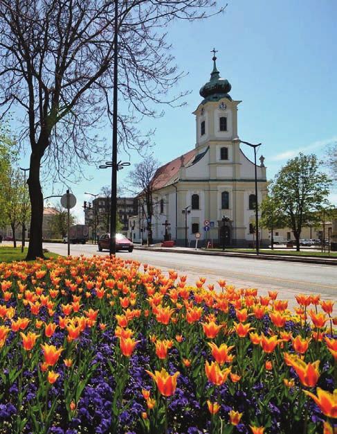 Basic Családi egynapos kirándulás Hatvanba 2 felnôtt + 2 gyermek* kedvezmény megtakarítás széchenyi zsigmond vadászati múzeum 50% B 1.