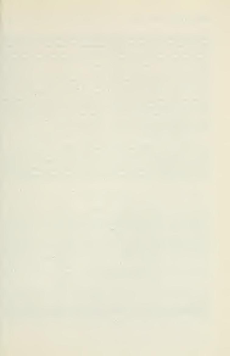Aquila (1998), Vol. 103-104, p. 9-16 KöM Természetvédelmi Hivatal STATUS OF THE MUTE SWAN {CYGNUS OLOR) IN 1997 IN HUNGARY Péter Szinai Abstract Szinai, P.