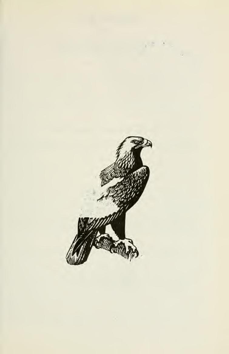 AQUILA A MAGYAR MADÁRTANI (KÖM