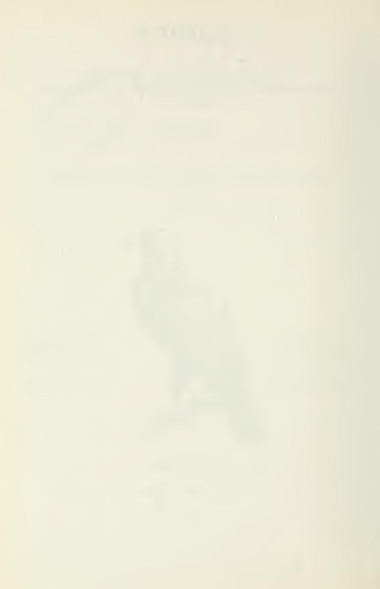 Megjelent - Published 1998 Fszerkeszt - Editor-in-Chief Dr.