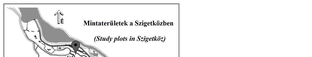 A mintaterületek a part mentén húzódnak, 50 méter hosszúak, 10 méter szélesek.