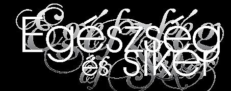 16. szám