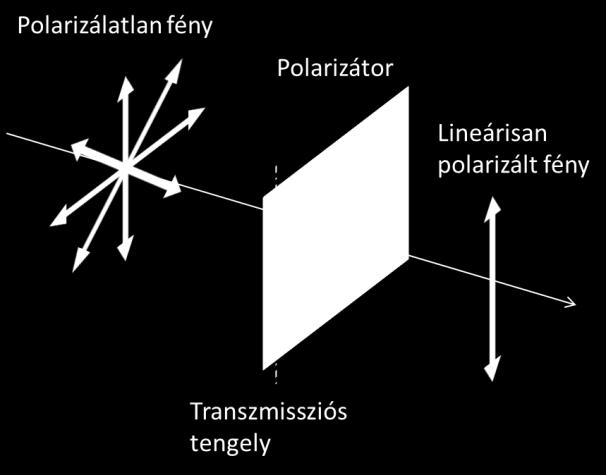 Polarizátorok, a Malus-törvény Vannak olyan kettősen törő közegek, amelyek a kétfajta, egymásra merőleges polarizációjú fénynyaláb (ordinárius és extraordinárius) közül az egyiket sokkal erőssebben