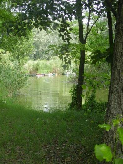 A tábor alkalmas gólyatáborok rendezésére is! A tábor a strandtól kb. 800 méterre van, melyre állandó belépőt biztosítunk.