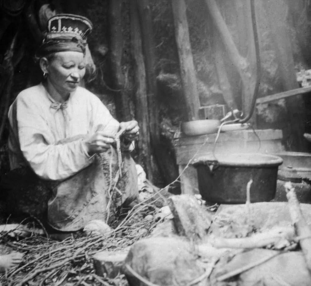 Fylkkagirjerájus galgá ovddidit girjjálašvuođagaskkustanbálvalusaid fylkkas, ja maiddái sámi girjjálašvuođa ja kultuvrra gaskkustan- ja diehtojuohkindoaibmabijuid.