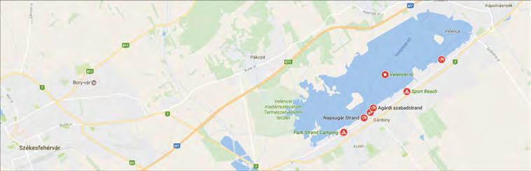 SZÉKESFEHÉRVÁR 2X DOG SHOW 2019. június 29-30. / 29-30.