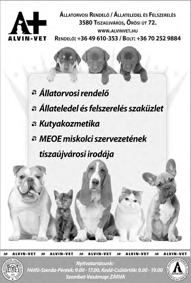 MISKOLC MARATHON DOG SHOW NATIONAL DOG-SHOW NATIONALE HUNDE AUSSTELLUNG.  CACIB KUTYAKIÁLLÍTÁS május 25. de. /Am - PDF Ingyenes letöltés