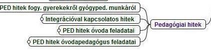 A PEDAGÓGIAI HITEK szuperkód az óvodapedagógus hiedelmeiről, neveléssel kapcsolatos hiteiről, gyakorlati filozófiájáról szól (5. ÁBRA.