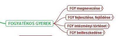 A speciális szükségletű integrált gyerekre (FOGYATÉKOS GYEREK) vonatkozó kódrendszert mutatja a 7. ÁBRA.