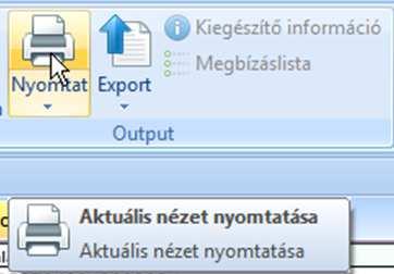 A kívánt adatokat nyomtatott formában a printeren keresztül vagy PDF-fájlban kaphatjuk meg.