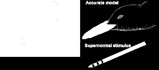 modellezése Akció specifikus