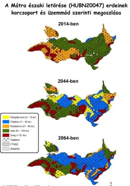 Tő mellett és irodában avagy mit lehet és érdemes tenni a Natura