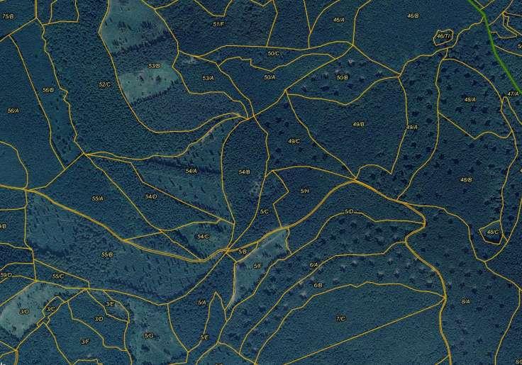 Tő mellett és irodában avagy mit lehet és érdemes tenni a Natura 2000