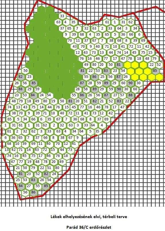 Tő mellett és irodában avagy mit lehet és érdemes tenni a Natura 2000