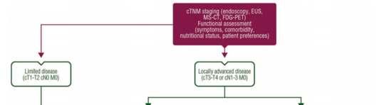 Lokálisan előrehaladott ct3-t4 és/vagy N1-3 - RT (41,4-50,4 Gy) +cisplatin/5-fu - heti carboboplatin +heti paclitaxel (50 mg/m2) 5 hétig+konkurrentrt (41.