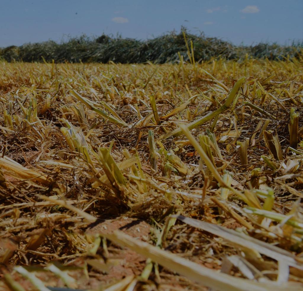 SoilTonic növényvédelmi hatásokat fokozó talajkondícionáló Talajkondicionáló készítmény,hatóanyaga