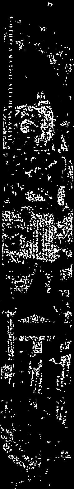 székhelye: 1827 Budpest, Budvári Plot F. épület Sorszám: 3734/1085/2013 TANÍÍSÍTVÁNY rról, hogy Erdősné Sági Mári (születési neve: Sági Mári, szül. h. és idő: Dévvány, 1962.12.29.