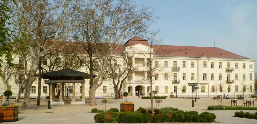 Költségvetési beszámoló a balatonfüredi Állami Szívkórház 2015. évi tevékenységéről Prof.
