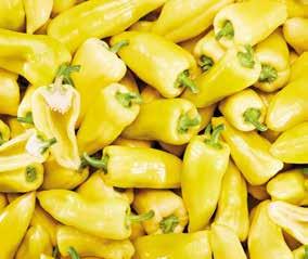 /kg -30% 399 Ft 279Ft MAGYAR /kg -25% 799 Ft -34% 379 Ft TERMÉK TV paprika 599Ft Bazsalikom