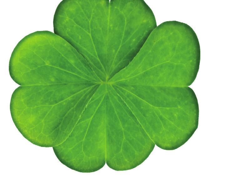 shamrock rovers Gólszám, több, mint,, liepaja - Dinamo minszk Gólszám, több, mint,, maccabi Haifa - mura Gólszám, több, mint,, Fola esch - chikhura sachkhere Gólszám, több, mint,, olimpija ljubljana