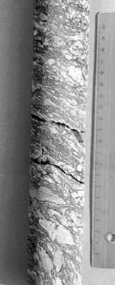 a) Bükkzsérc-type limestone olistolith. felépülő összlet sorolható a Mónosbéli-egységbe (DOSZ- TÁLY et al. 2002, KOVÁCS S. et al. 2005).