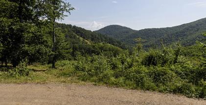 Disznó-kő Tudtad? Disznó-kő Ha a Kékest választod, akkor a Markazi-kaputól folyamatosan emelkedik a térszint, s nemsokára fel is érsz a Disznó-kőre.