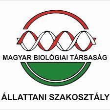 ÖSSZEFOGLALÓI 2019. február 26.