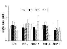 lyásolta (N: 22.1±6.2, E: 24.2±3.4, P: 21.7±2.9, V: 23.5±4.6%). A 21. napon az allografokban a felszíni epithelium teljes károsodása, nekrózisa volt észlelhető.