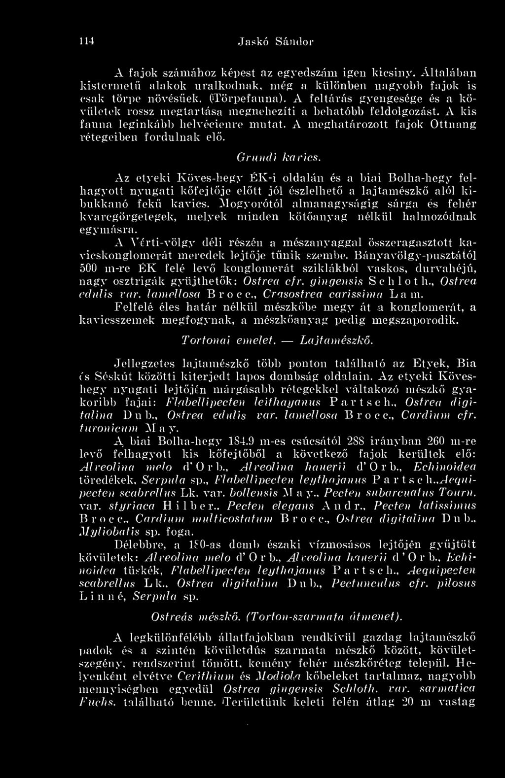A Vérti-völgy déli részén a mészanyaggal összeragasztott kavicskonglomerát meredek lejtje tnik szembe.