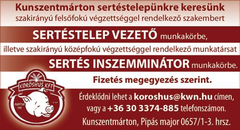a, azonnali kezdéss e l.