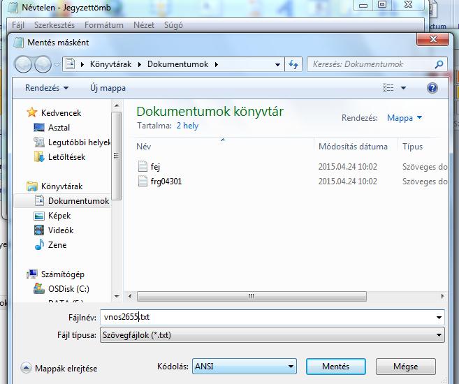 formátuma: TXT Az adat FILE neve TXT formátumban: VNOSÿÿÿÿ.
