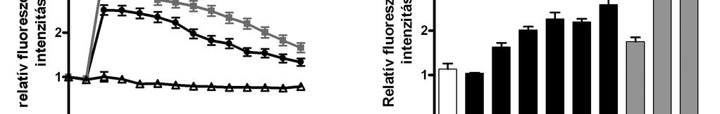 21. ábra MASP-1 által kiváltott Ca 2+ -válasz. A sejteket 20 percig 2 µm Fluo-4-AM-mel inkubáltuk, majd mosást követıen 10 másodpercenként fluoreszcens mikroszkóppal mértük a jel intenzitását.