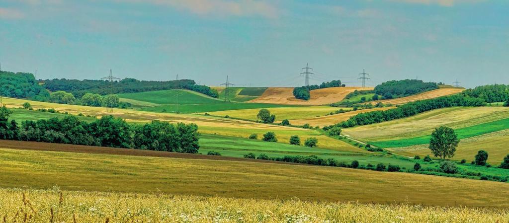 gyártóktól, így a Nutrikon Kft.-től is. E szigorú rendszer a Plantaco-termékek gyártására is vonatkozik. A Nutrikon Kft.