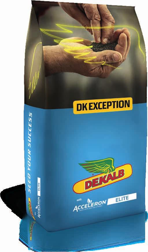 DK EXCEPTION Európa legnagyobb területen vetett repcehibridje!