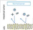 A Helicobacter Pylori A vírusok daganatkeltő hatása régóta ismert (Rous sarcoma virus => csirke sarcoma) - 1911 (Peyton Rous - Nobel dij 1966), a 4 gén közül az egyik az src kináz ( J.