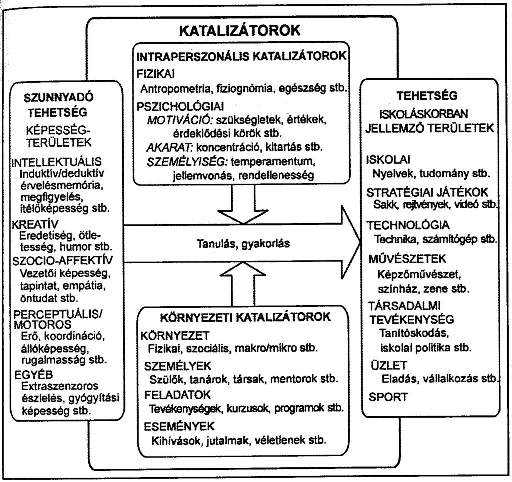 váltását. A környezet (család, iskola, kortársak, társadalom) felelős azért, hogy a gyermek minden szükséges képessége kialakuljon. 1.1.1.4.