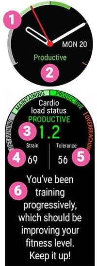 KARDIOTERHELÉSI ÁLLAPOT A Cardio load status (Kardióterhelési állapot) a Strain (Megterhelés) és a Tolerance (Tolerancia) közötti kapcsolatot vizsgálja, és ennek alapján megállapítja, hogy jelenleg