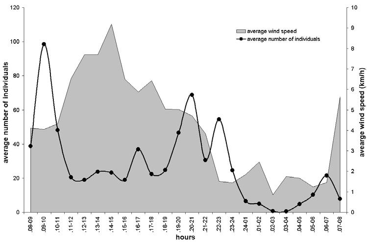 39 number of individuals of the migrating insects was lower when the wind intensity was higher, and in calm or at lower wind intensity the number of individuals was higher (figure 1.).