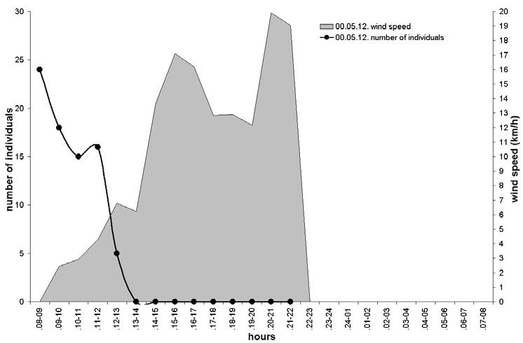 Apparent but no significant negative correlation between the average number of individuals of three common taxa and