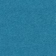 * LDS56