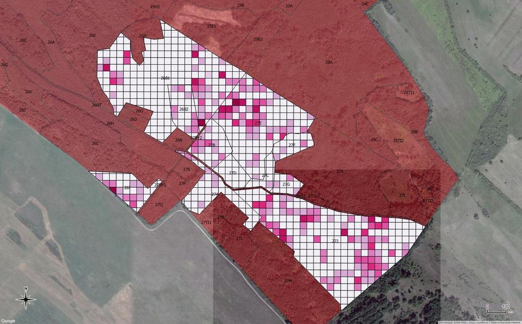 Monitoring 8. 25x25 m-es kvadrátok (UTM) Teljes területen összesen: 18.185 négyzet Nyugati ostorfa jelentősen terjed: felmért kvadrátok, több mint felében jelen van (53,5 %)!