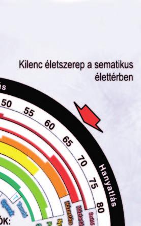 Ezek szerint életpályánk a következő szerepekből épül fel: gyerek, tanuló, szabadidős tevékenység, polgár, dolgozó, (később nyugdíjas) házastárs, háztartás fenntartó, szülő.