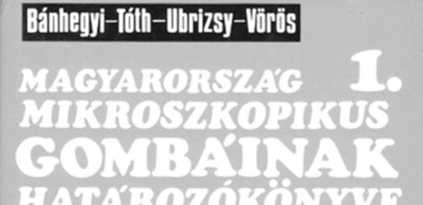munka - társaihoz nagy-nagy emberi tapintattal, megértéssel, segítőkészséggel viszonyulva (Kövics 2001).