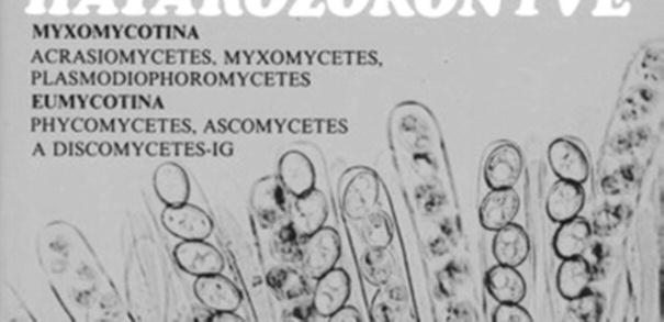 Társaságában, va - la mint több szakmai folyóirat szerkesztőbizottságában végzett munkája fémjelzi, melyekben halk szavúan, oly