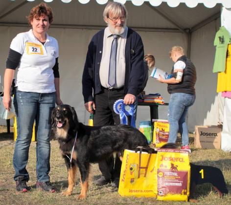 J-Slo, ÖJCH, Fiatal Klubgyőztes 2015(H)+(Slo), Jugendbeste Amstetten 2015(A), Junior Winter Winner 2015(Sk), Slovenian Junior Winner 2015, Austrian Show Winner 2015, Év Fiatal szukája 2015 Honosítás: