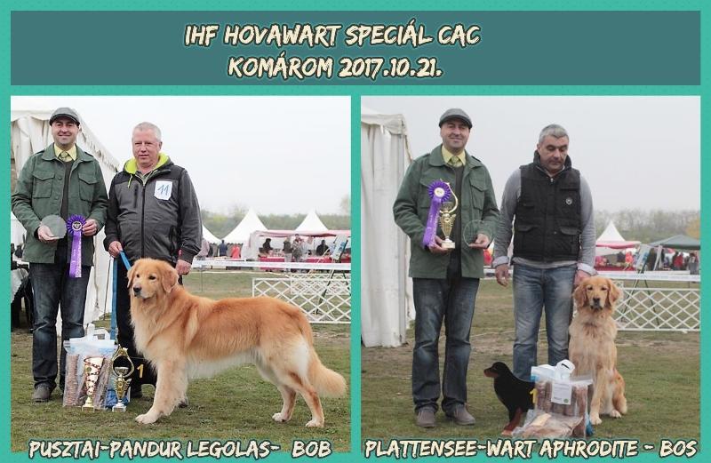 Speciál kiállítás Eredményei: Komárom,.10.21. bíró: Baffia Zoltán KŐLYÖK osztály ok Eredmények 1 PUSZTAI PANDUR QUATTRO Hov.2479/17.02.16 nagyon ígéretes 2. 2 CANNY CARPATHIA HEART SPKP 1493.04.