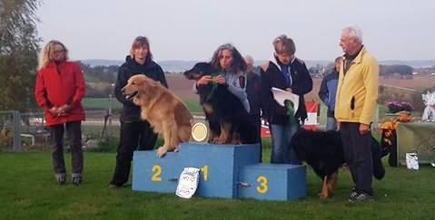akár BH, IPO vagy obedience ágazatban. Bán Bea 2.hely IHF IPO-FH Nyomkövető Világbajnokság - Vranov nad Topľou (SK).11.03-05. PUSZTAI-PANDUR DATOLYA Met.hov. 1940/08 Tul.